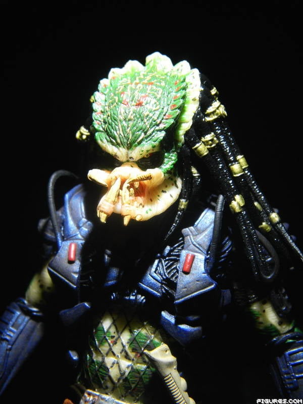 Predator