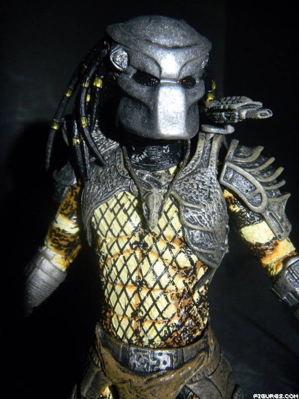 Predator