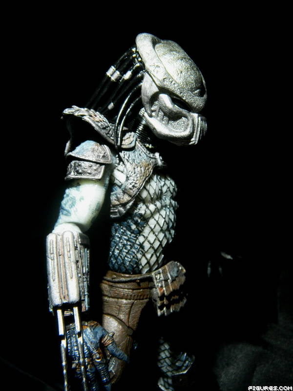 Predator