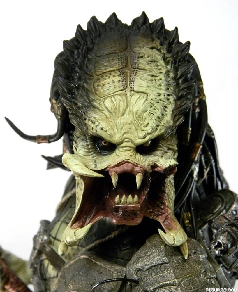 Wolf Predator