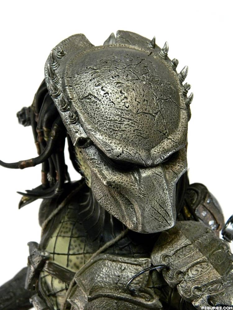 Wolf Predator