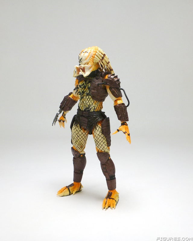 predator10