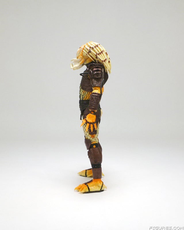 predator11