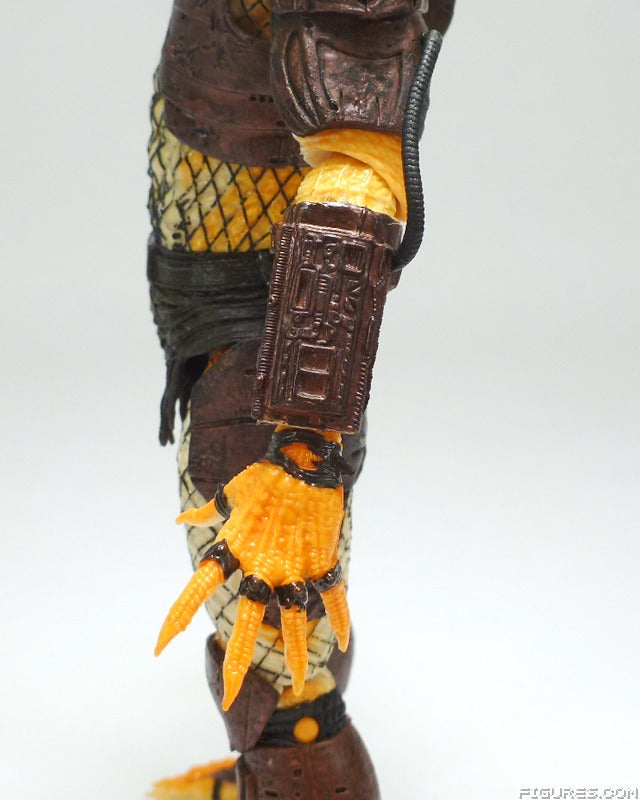 predator12