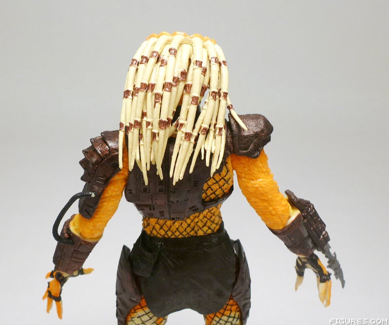 predator14
