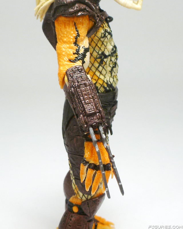 predator16