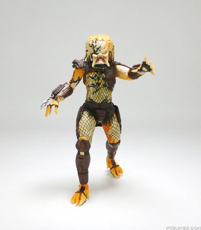 predator19