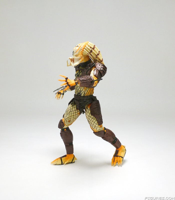 predator20