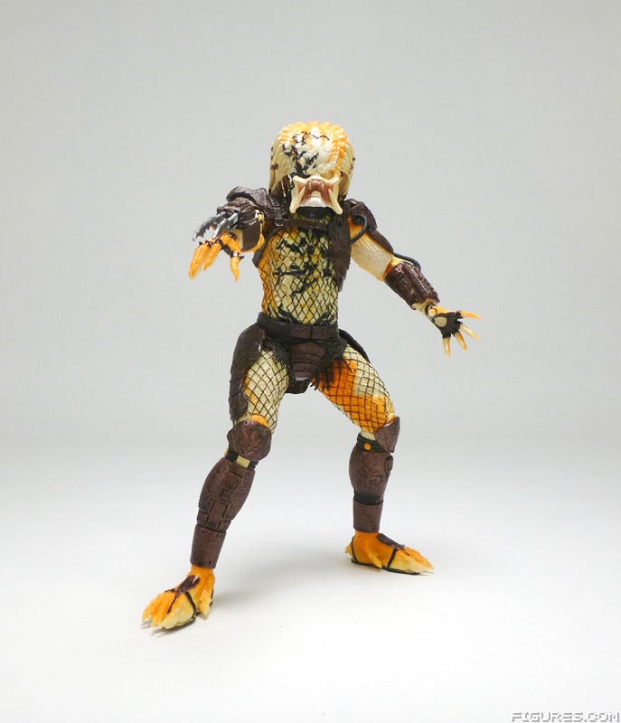 predator24