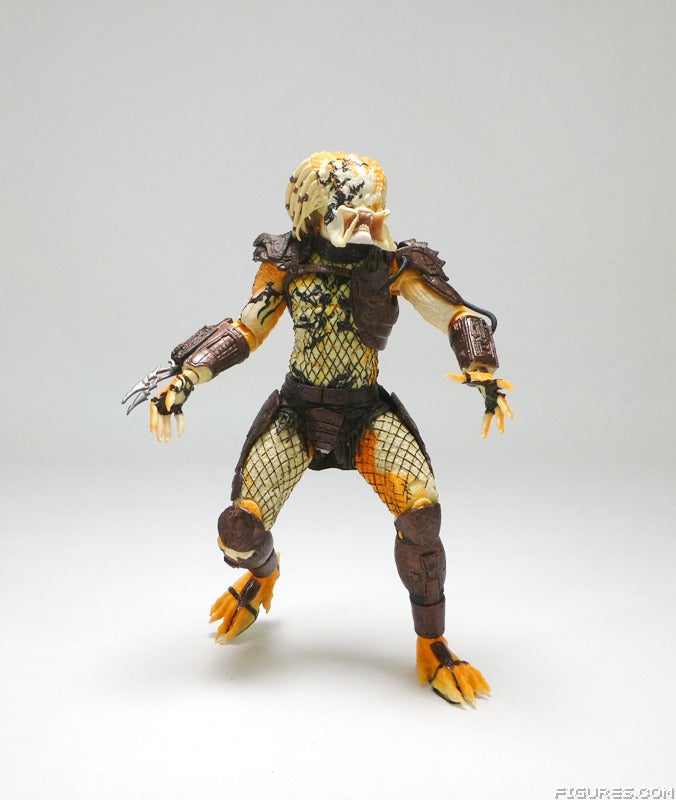 predator25