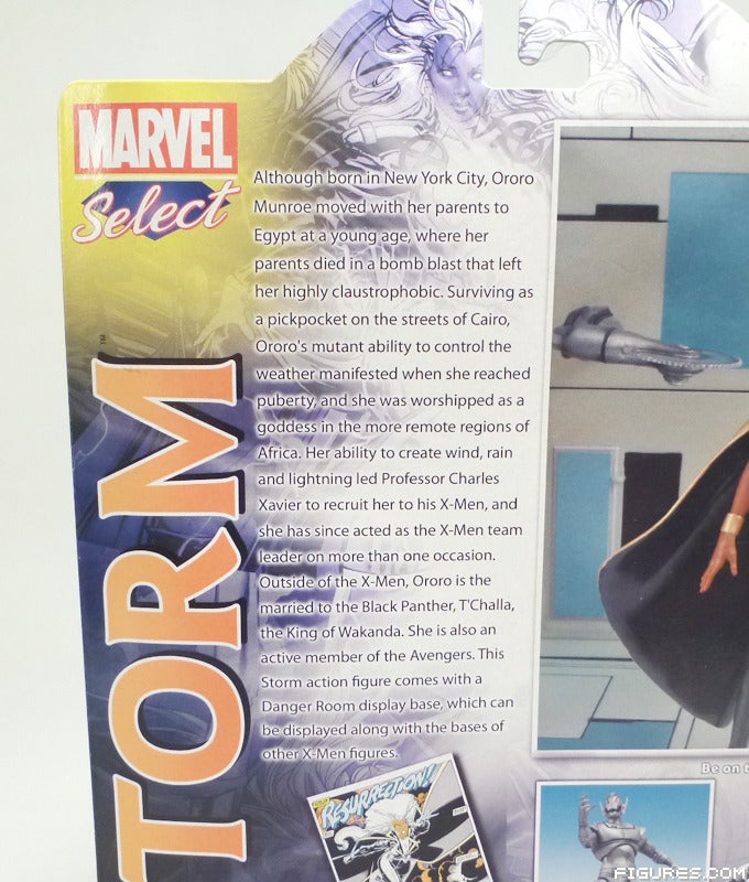 storm06