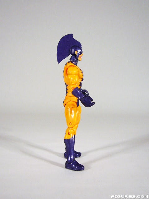 tigershark05
