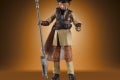 STAR WARS THE VINTAGE COLLECTION FIGURE - Leia Boushh (PhotoReal 1)
