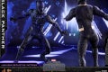 Hot Toys - Black Panther - Black Panther collectible figure_PR14