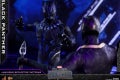 Hot Toys - Black Panther - Black Panther collectible figure_PR15