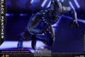 Hot Toys - Black Panther - Black Panther collectible figure_PR17