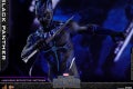 Hot Toys - Black Panther - Black Panther collectible figure_PR20