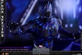 Hot Toys - Black Panther - Black Panther collectible figure_PR21