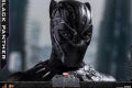 Hot Toys - Black Panther - Black Panther collectible figure_PR28