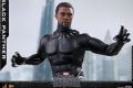 Hot Toys - Black Panther - Black Panther collectible figure_PR6