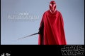 Hot Toys - SW - Royal Guard collectible figure_PR10