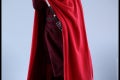Hot Toys - SW - Royal Guard collectible figure_PR11