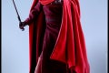 Hot Toys - SW - Royal Guard collectible figure_PR12