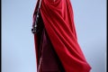 Hot Toys - SW - Royal Guard collectible figure_PR14