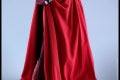 Hot Toys - SW - Royal Guard collectible figure_PR15
