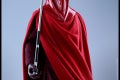 Hot Toys - SW - Royal Guard collectible figure_PR17