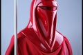 Hot Toys - SW - Royal Guard collectible figure_PR18
