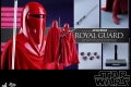 Hot Toys - SW - Royal Guard collectible figure_PR19