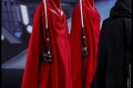 Hot Toys - SW - Royal Guard collectible figure_PR2