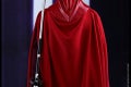 Hot Toys - SW - Royal Guard collectible figure_PR4