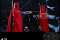 Hot Toys - SW - Royal Guard collectible figure_PR6
