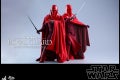 Hot Toys - SW - Royal Guard collectible figure_PR9