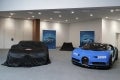 Bugatti_Ehra_Photo_Max Earey (24)