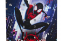 MARVEL SPIDER MAN INTO THE SPIDER-VERSE COUNTDOWN COLLECTION