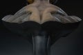 07_400144-Wolverine-LS-Bust_0050