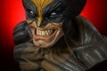 14_400144-Wolverine-LS-Bust_drama_0168