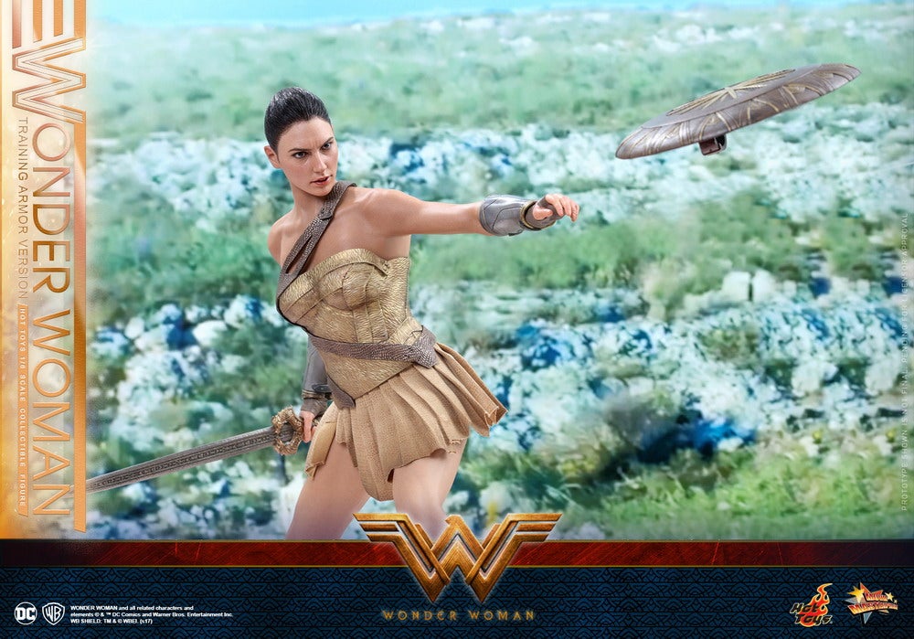 Hot-Toys---Wonder-Woman---Wonder-Woman-(Training-Armor-Version)-Collectible-Figure_PR11