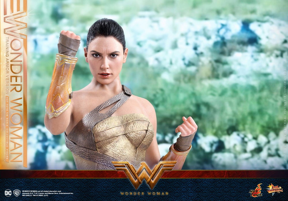Hot-Toys---Wonder-Woman---Wonder-Woman-(Training-Armor-Version)-Collectible-Figure_PR16