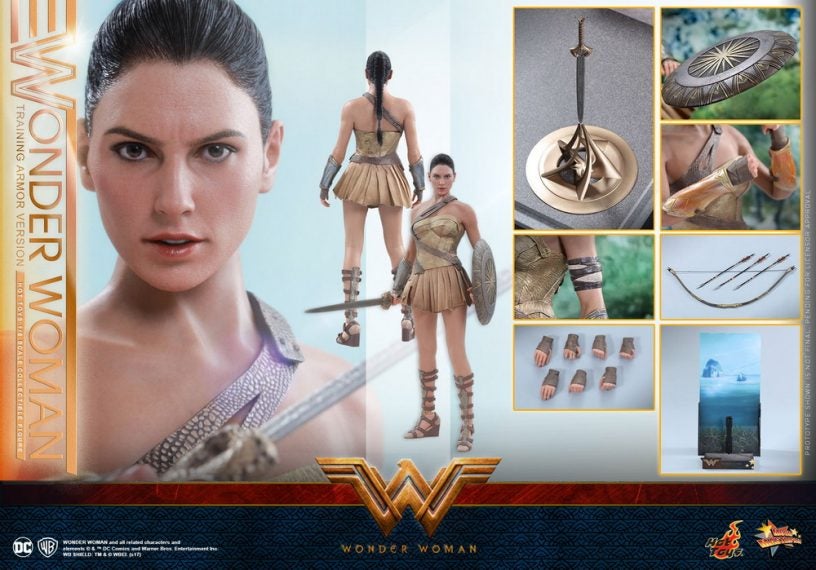 Hot-Toys---Wonder-Woman---Wonder-Woman-(Training-Armor-Version)-Collectible-Figure_PR19