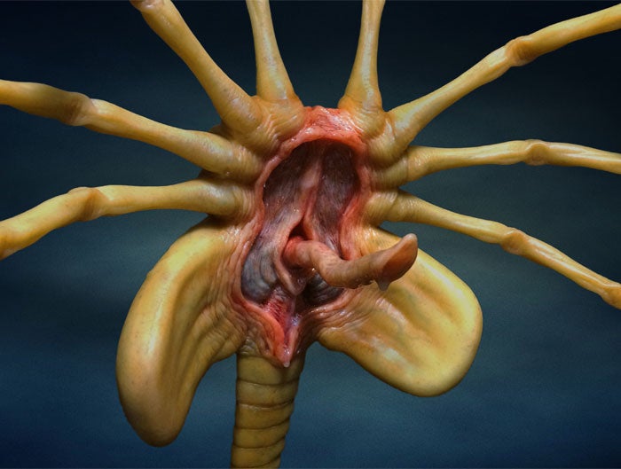 Facehugger_05