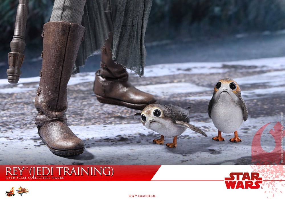 Hot Toys - SWTLJ - Rey (Jedi Training) collectible figure_PR20