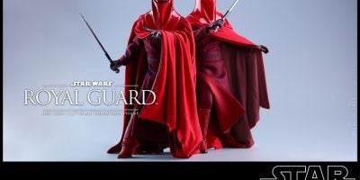 Hot Toys - SW - Royal Guard collectible figure_PR9