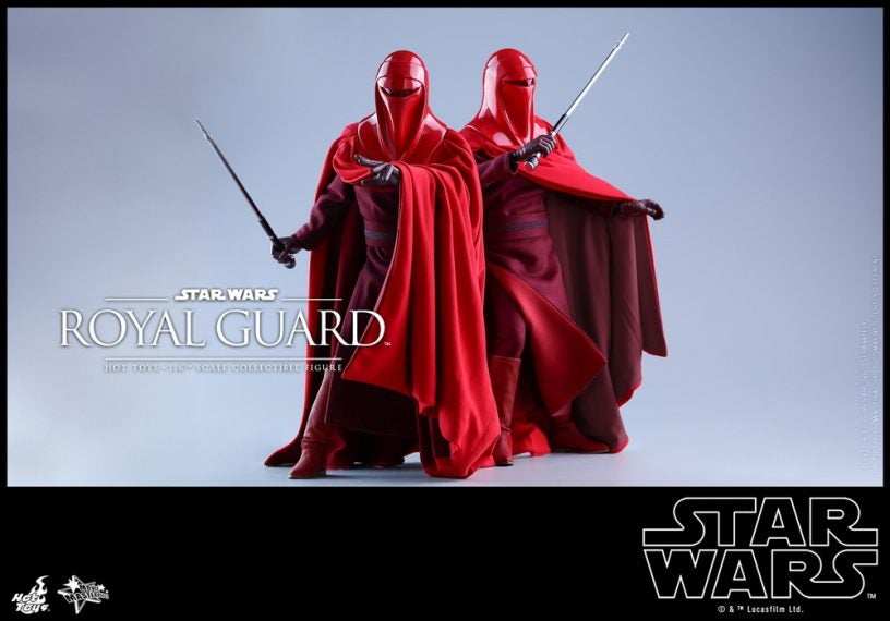 Hot Toys - SW - Royal Guard collectible figure_PR9