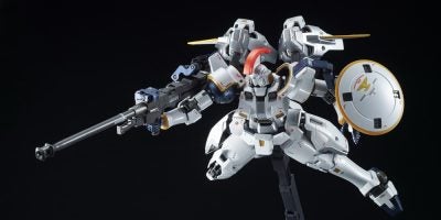 MG 1100 TALLGEESE EW [SPECIAL COATING] (2)