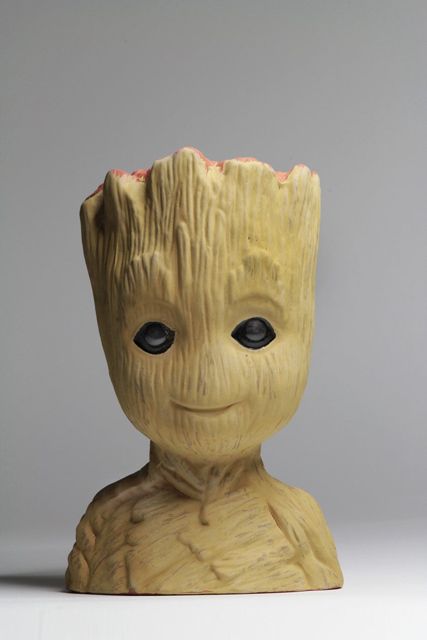 Groot2