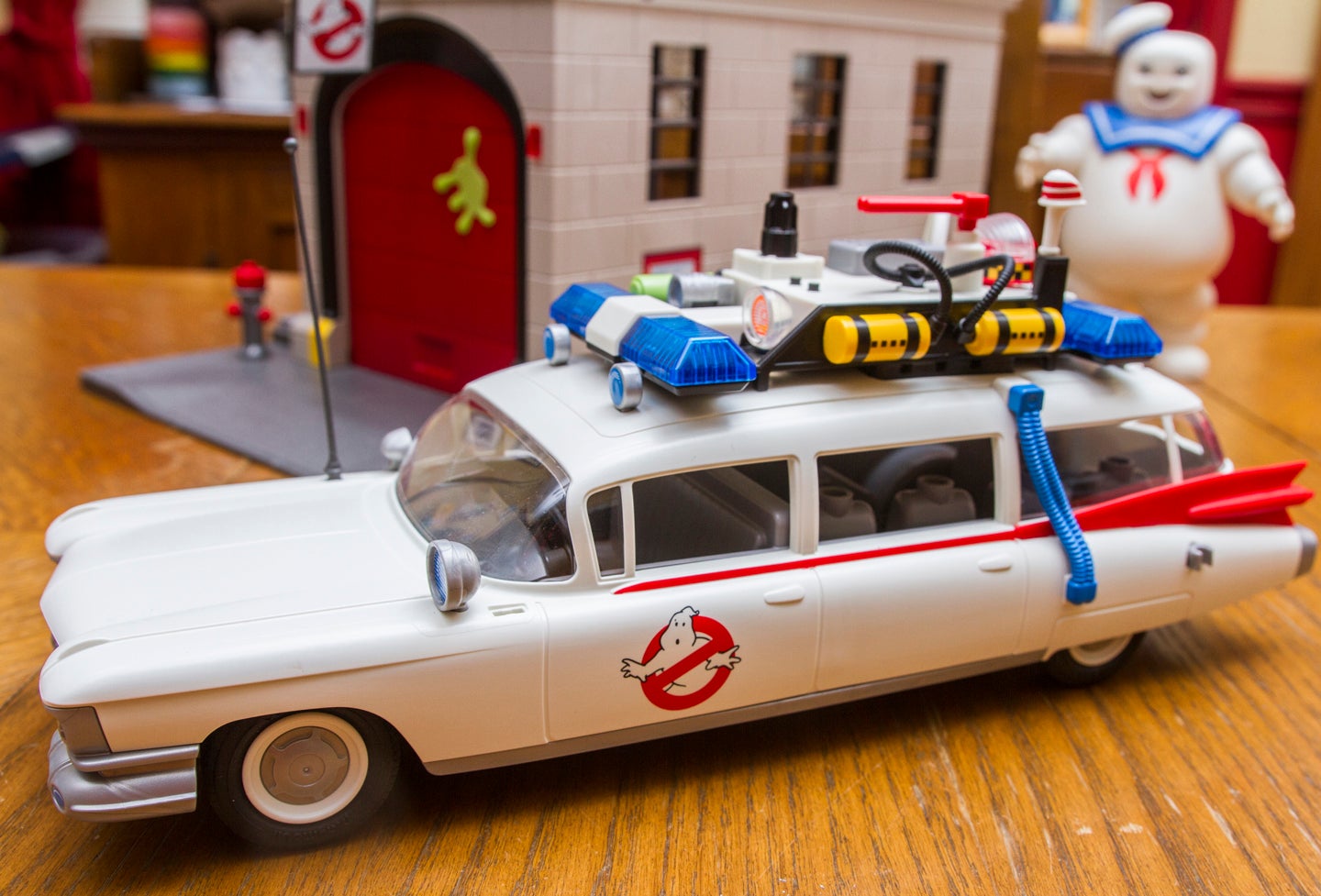 ecto_02